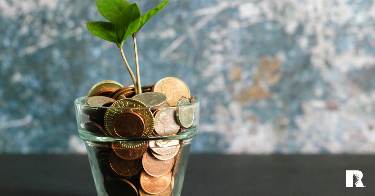 A photo illustration of a sprout, conveying financial growth.