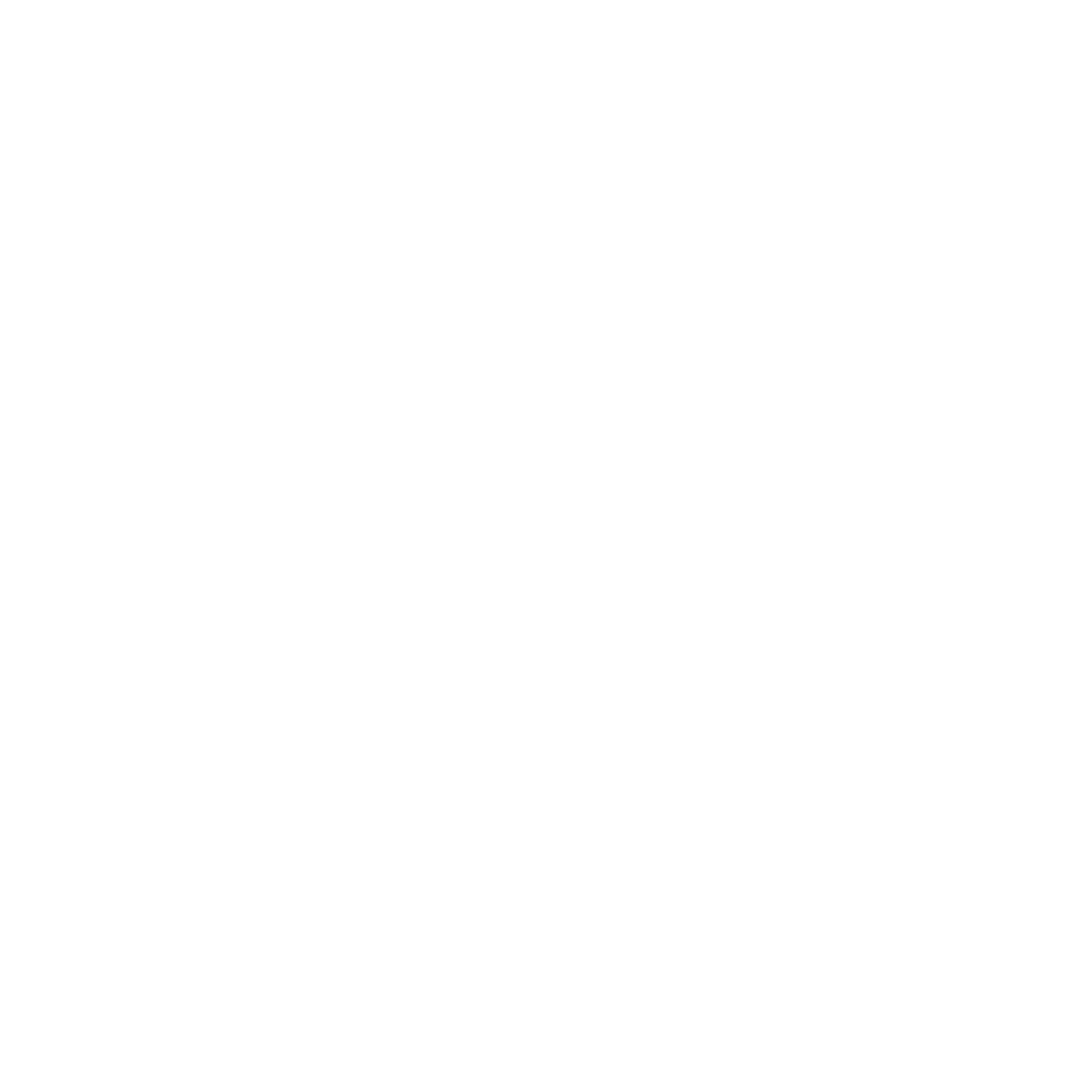 Computer Icon