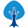icon-tree-web.png